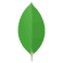 MongoDB Logo